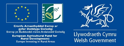 RDP and Welsh Government Logo