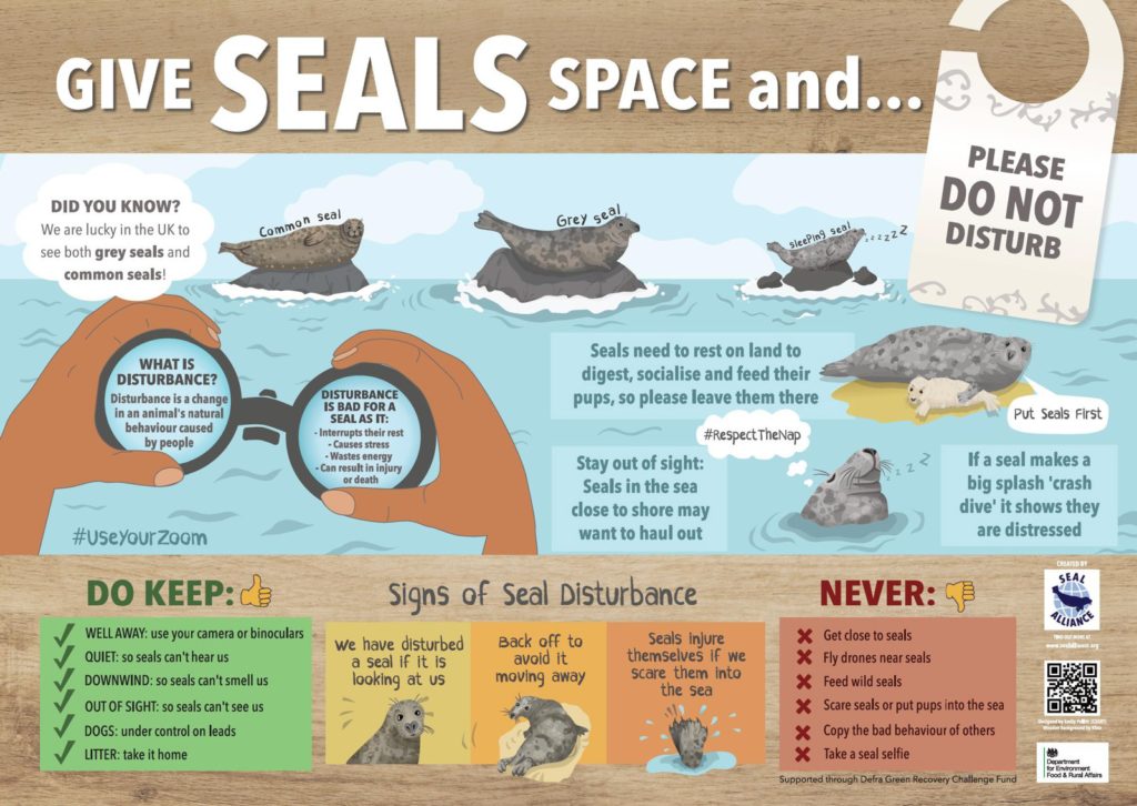 Give Seals Space Poster