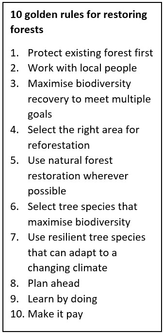 List of 10 golden rules for restoring forests