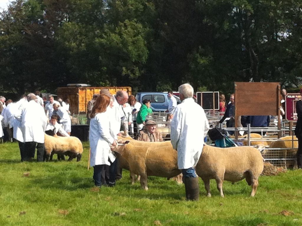 Gower Show