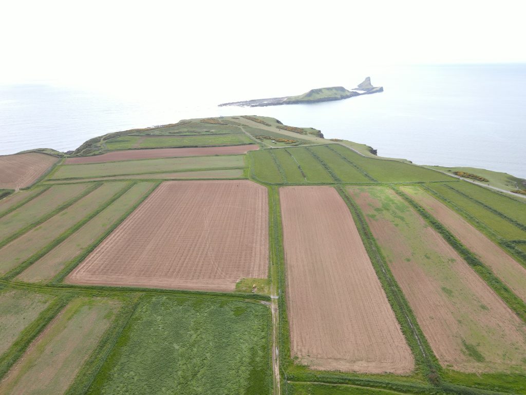 Image of the Vile, showing the patchwork pattern of the small strips of fields.