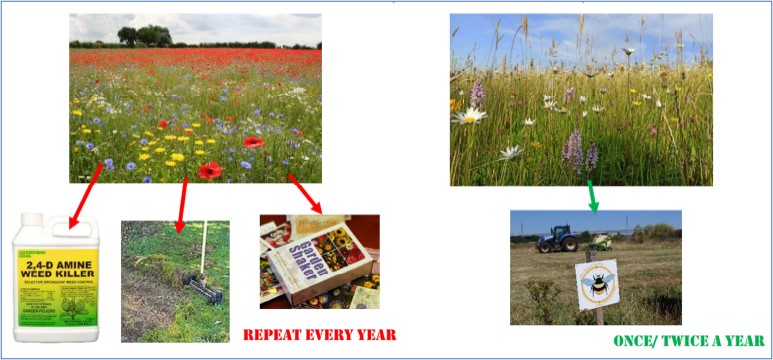 Two inserts showing an unnatural wildflower meadow with bright red non-native poppies alongside a natural flower meadow with more muted colours. 