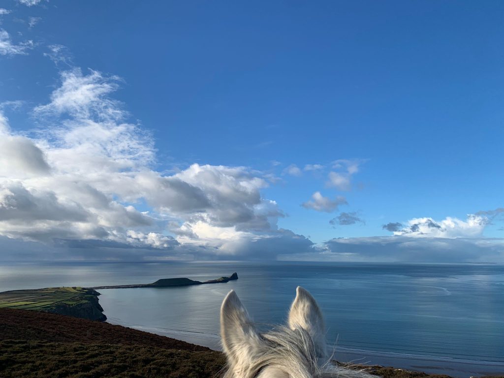 A view of Worm's Head from between the ears of a horse.