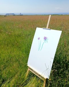 Easel with simple flower drawing set in clifftop meadow