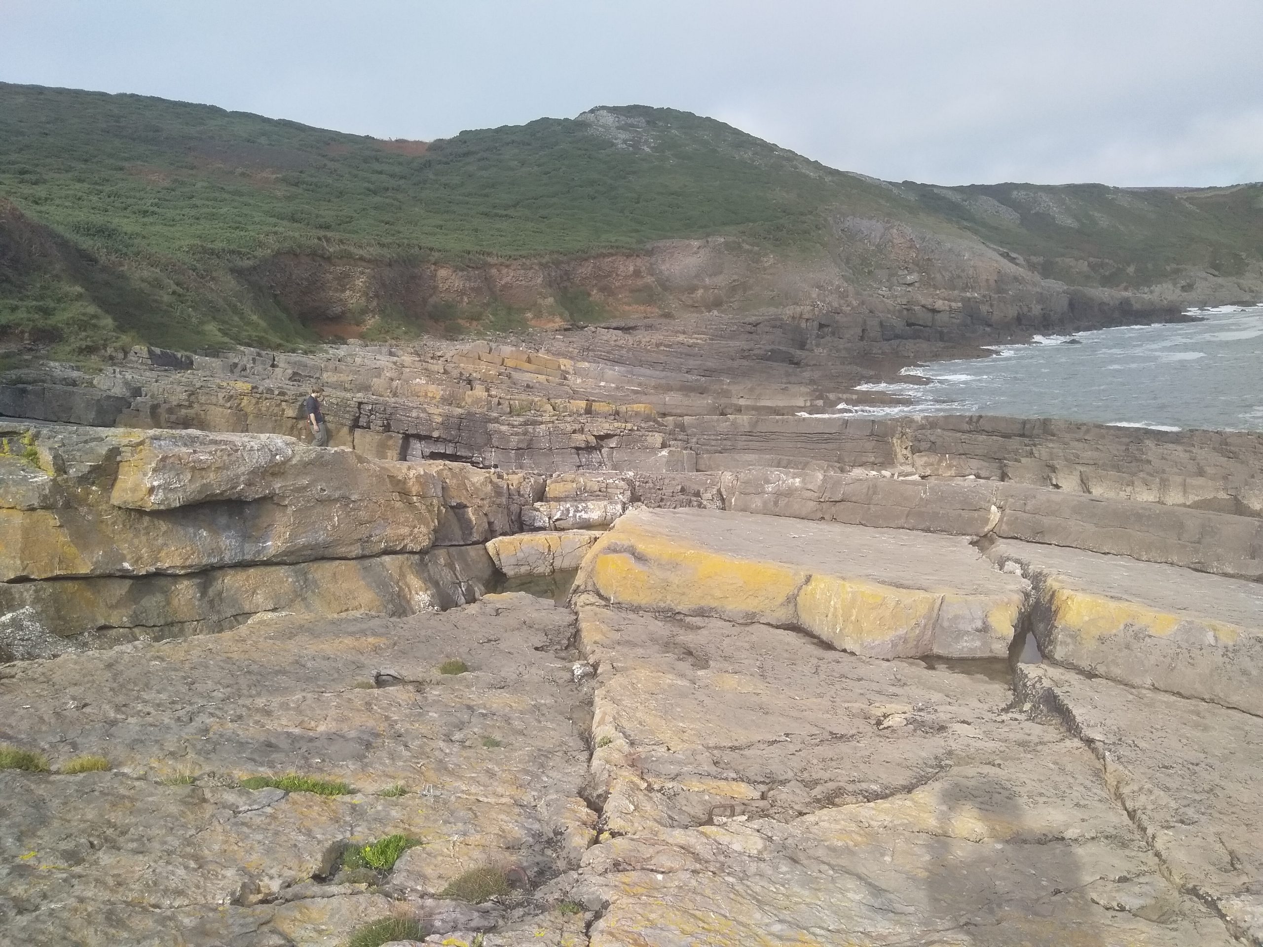 From Tears Point to Ramsgrove – Geology and Fossils
