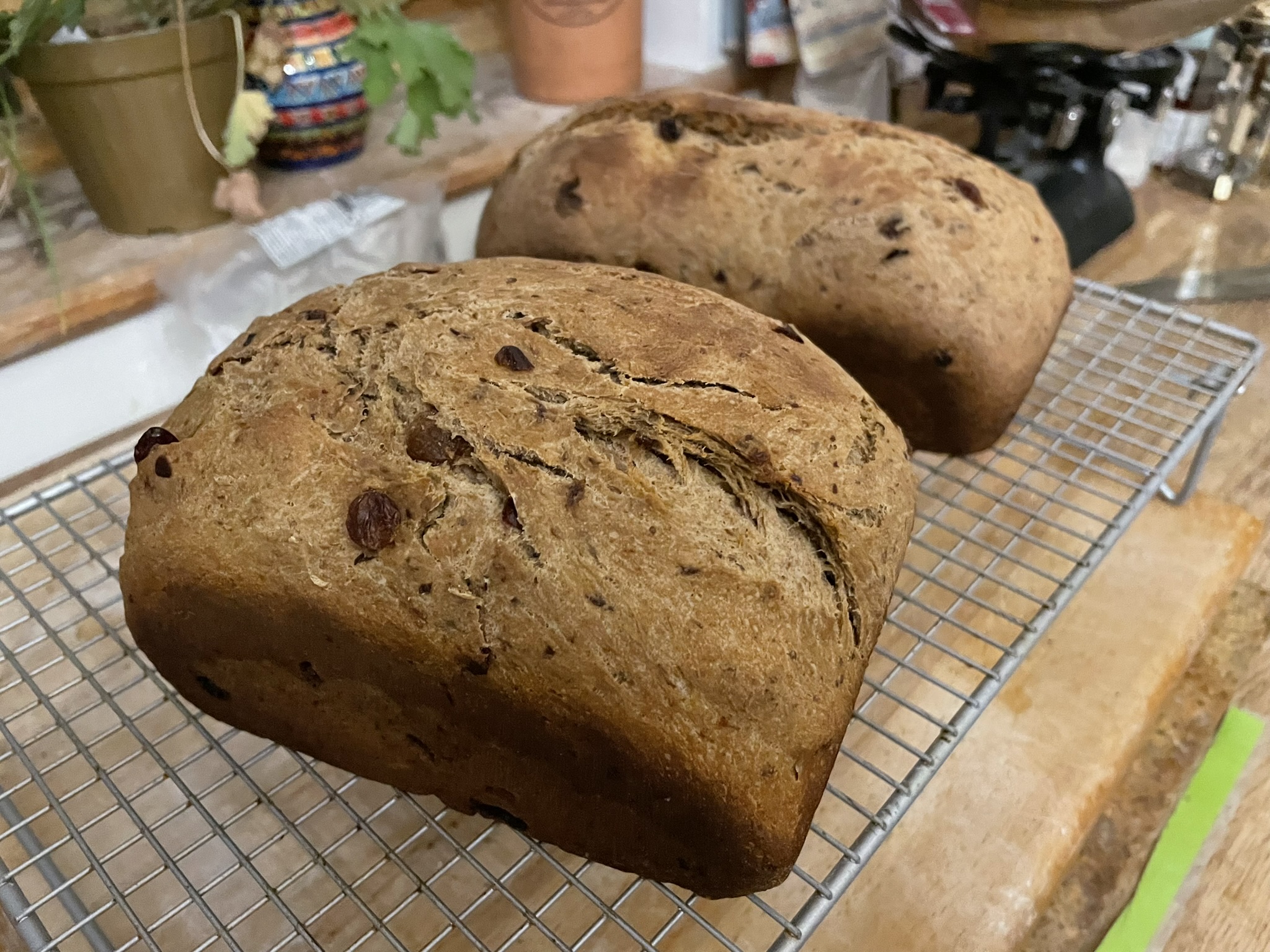 March: Lincoln Plum Bread