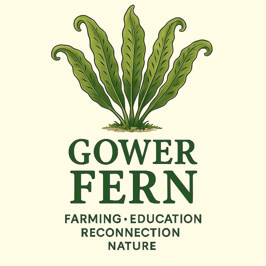 Field Notes from Gower: Biodiversity, Community, and Nature Recovery in Mewslade Bay